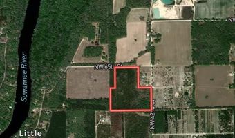 0 42nd Ct, Bell, FL 32619