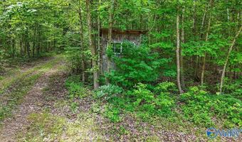 Unit # 0 Murphree Valley Road, Altoona, AL 35952
