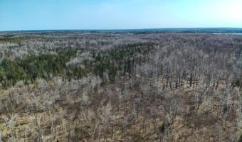 5280 Cathro Rd, Alpena, MI 49707