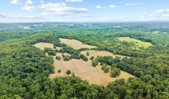 Rt 3 Box 240-4, Ava, MO 65608