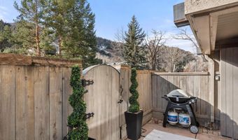 1024 E Cooper Ave 1, Aspen, CO 81611