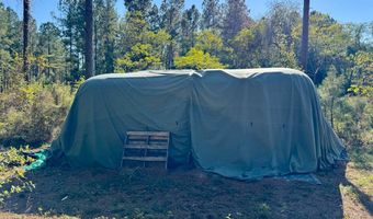 TBD Binnicker Bridge Road, Bamberg, SC 29003