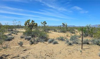 5558 E Red Barrel Rd, Yucca, AZ 86438