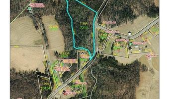 7 99 Acres Mickey Rd, Westfield, NC 27053