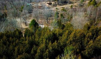 Maxey Road, Arcadia, MI 49613