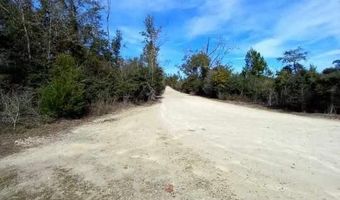 Tommy Tucker Road lot 5, Altha, FL 32421