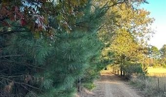 421041 E 1945 Ln, Antlers, OK 74523