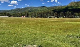 156 Forest Ln, Bayfield, CO 81122