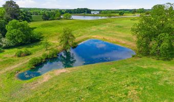 3305 Hustleville Rd, Albertville, AL 35951
