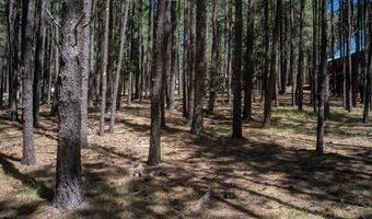 Cimarron Trail lot 551, Angel Fire, NM 87710