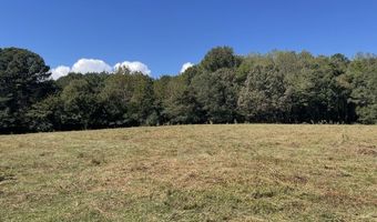 2859 B Brashiers Chapel Rd, Arab, AL 35016