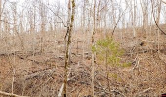 CR 19-A, Alton, MO 65606