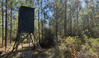 259 Forest Lake Rd, Beaumont, MS 39423