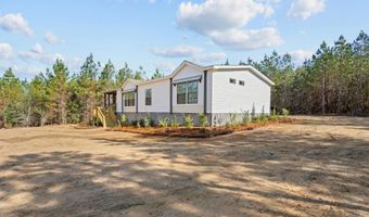 1262 Penny Morris Rd, Baxley, GA 31513