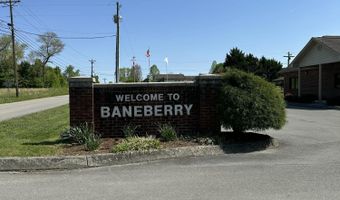 267 Back 9 Dr, Baneberry, TN 37890