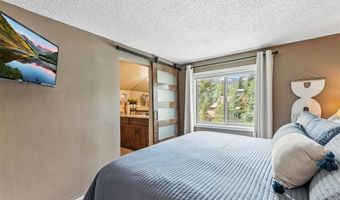 550 S FRENCH St 205, Breckenridge, CO 80424