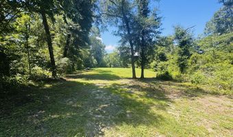 1042 Lake Cadeli Rd, Bartow, GA 30413