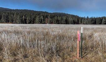 lot # 16 13442 Vannoy Lane, Bonner, MT 59823