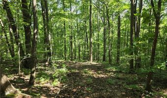 0 Lawson Federal Rd, Ball Ground, GA 30107