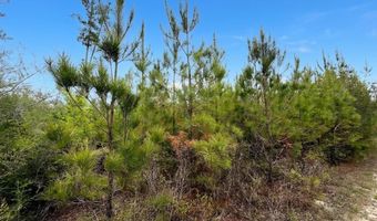 Broadview Avenue, Alford, FL 32420
