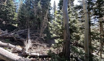 W Hunter Ridge Dr, Brian Head, UT 84719