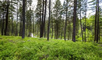 616 Ranch Rd, Bigfork, MT 59911