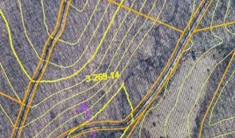 COVE CREEK Road lot 2, Baker, WV 26801