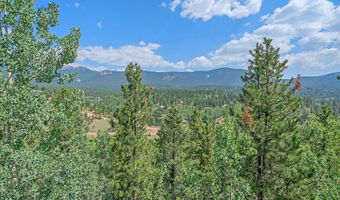 153 Wise Rd, Bailey, CO 80421