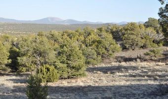 20 County Road 3044, Concho, AZ 85924