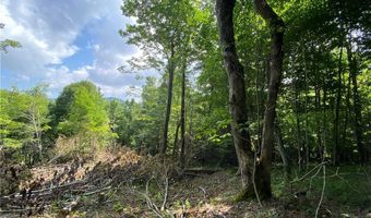 Tract 3 Spring Mountain Trail, Boone, NC 28607