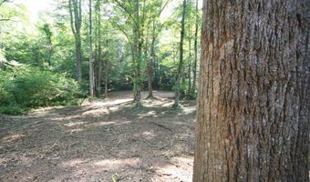 TBA BETTYS BRANCH RD X, Arvonia, VA 23004