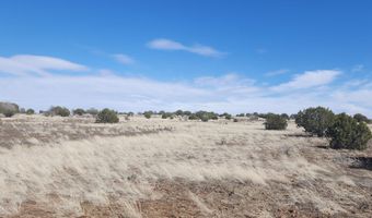 644 Cortez Ranch Rd, Ash Fork, AZ 86320