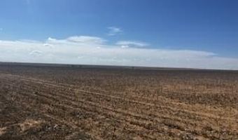 Farm To Market Rd 54, Abernathy, TX 79311