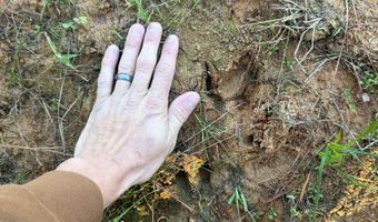 Hwy 9, Bruce, MS 38915