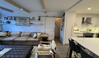 927 VINE St, Aspen, CO 81611