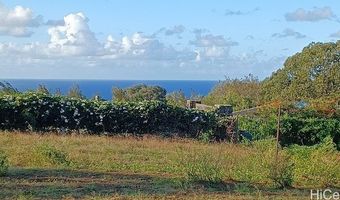 2676 Kalanikahua Rd, Haiku, HI 96708