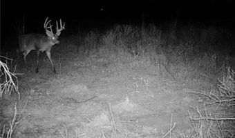 652 Nd St, Albia, IA 52531