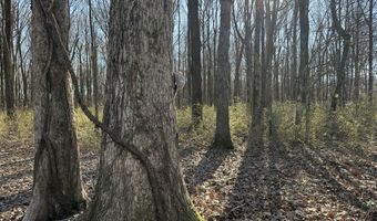 6075 Curtis Rd, Batesville, MS 38606