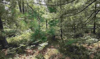 Lot 186 Winterset Drive, Alger, MI 48610