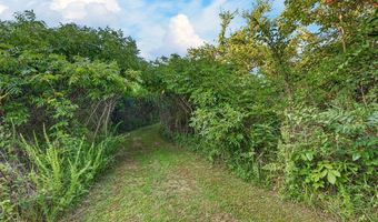 435 Pleasant Ridge Church Rd, Adolphus, KY 42120