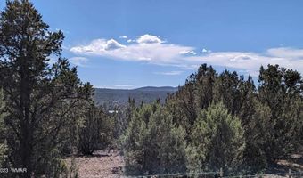 TBD-C ACR 3076, Vernon, AZ 85940