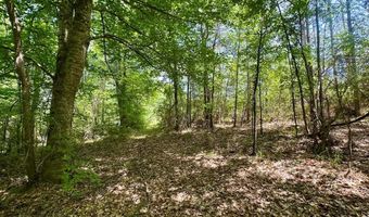 2316 Traci Loop, Bogue Chitto, MS 39629