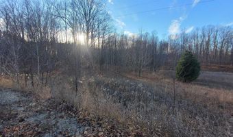 1091 Plum Valley Rd NW, Alden, MI 49612