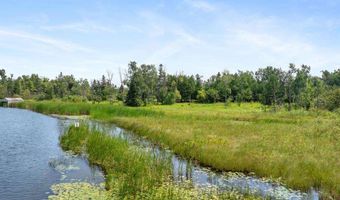 Spring Street, Alanson, MI 49706