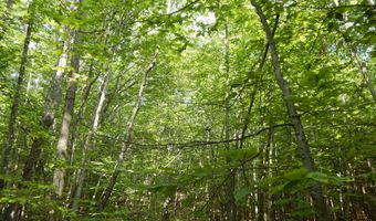 Lot 6 Maplecrest Road, Parsonsfield, ME 04047