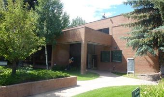 225 N Mill St 117, Aspen, CO 81611