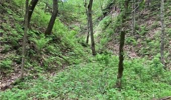 N3953-89 Bear Pen Road, Arkansaw, WI 54721