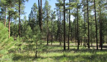 8 County Road 2194, Alpine, AZ 85920