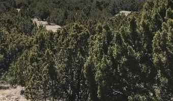 Lot 20 Idlewild Ranch 20, Concho, AZ 85924