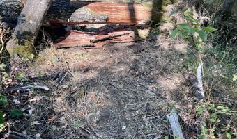 Timberlake Drive 391E25 132, Ashland, OR 97520